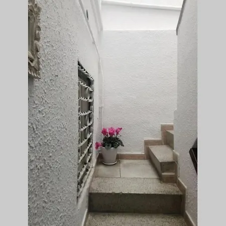 Apartment M5 Cool Terrace. Metro 1 Min. Center 15' By Metro *