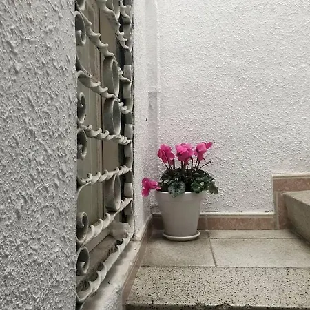 Apartment M5 Cool Terrace. Metro 1 Min. Center 15' By Metro *